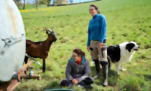 photo De ferme en ferme : Cabrioles de Balajou à Figeac