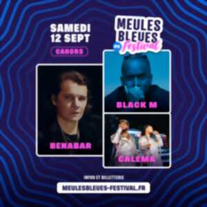 photo Le Meules Bleues Festival : Bénabar, Calema et Black M