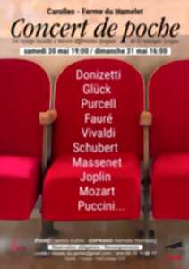 photo Concert de poche lyrique