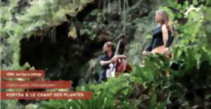 photo CONCERT DUO KERYDA