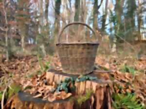 photo ATELIER DE VANNERIE - Réalisez un panier rond