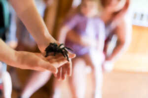 photo Rencontre avec une petite bête