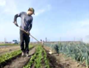 photo SOLS COUVERTS D’ESPOIR