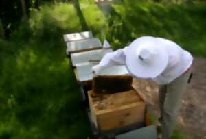 photo Secret de miel - Le Vaisseau