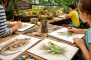 photo Dessin naturaliste