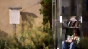 photo ALLO LA FRANCE