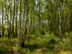 photo La nature en libre évolution à quoi ça sert ?