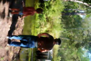 photo Faune et traditions à Marquèze