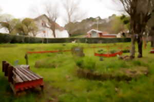 photo Atelier Jardin Partagé des 4 saisons