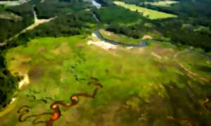 photo Balade contée dans les prés salés