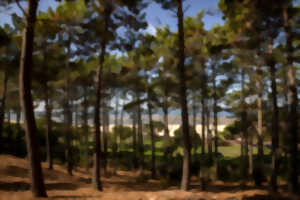 photo Visite du quartier de la SICA aux Abatilles