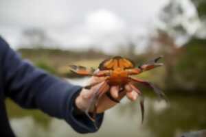 photo Pêche aux crabes