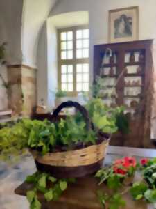 photo Les ateliers de l'herboristerie : fabrication d'un sirop de plantes en famille