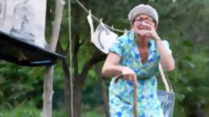 photo SPECTACLE BEAU VOYAGE