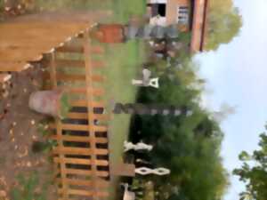 photo Visite d'ateliers de sculpteur