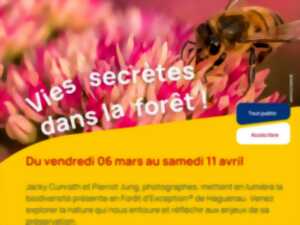 photo Vies secrètes dans la forêt !