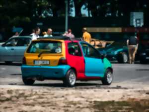 photo Twingo Folie's
