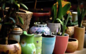 photo Troc de plantes