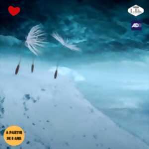 photo Projection & atelier 