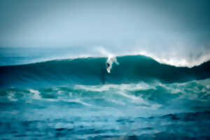 photo Royal Barrique 2026 • Waiting Period sur le mois d'octobre