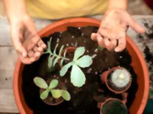 photo Troc de plantes