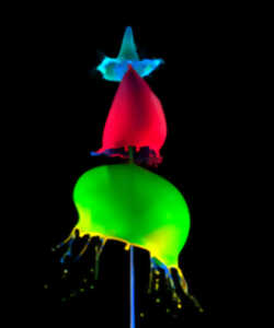 photo Exposition - Les gouttes d'Ivresse