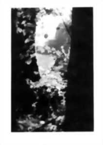 photo Lande interdite de Anne Isabelle Devillers