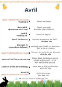 photo Parcours de Motricité au DOJO