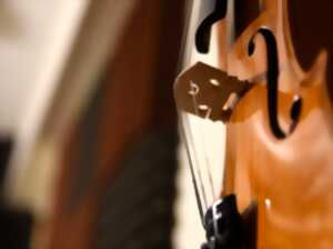 photo Duo Violoncelle et Accordéon : Voyage au cœur de la Grande Europe