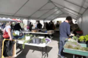 photo Troc aux plantes