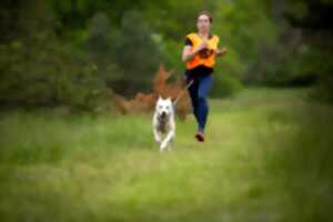 photo 1ère édition de Cani cross à Fayl-Billot