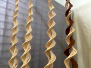 photo Atelier Flash  de vannerie avec Lydie Maître