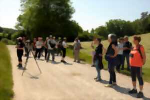 photo Sortie ornithologique grand public