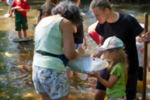 photo Stage de Chercheur d'or
