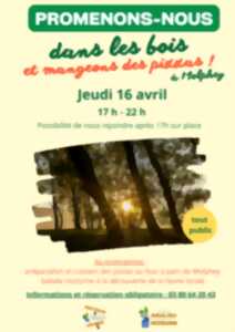 photo Soirée balade et pizzas à Molphey