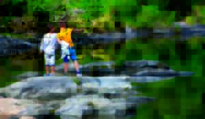 photo SORTIE NATURE - LA VIE DE LA TRUYÈRE