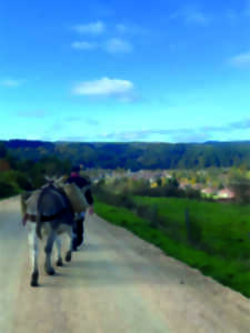 photo SORTIE NATURE : BALADE CONTÉE AVEC UN ÂNE