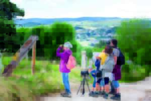 photo SORTIE NATURE - CRIS ET CHANTS D'OISEAUX