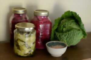 photo ATELIER LACTO-FERMENTATION