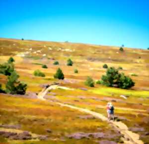 photo FÊTE DE LA NATURE EN LOZÈRE : LECTURES INSOLITES