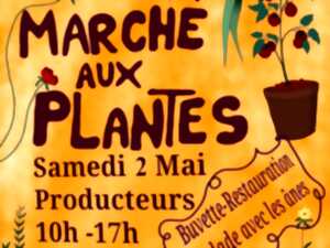 photo MARCHÉ AUX PLANTES
