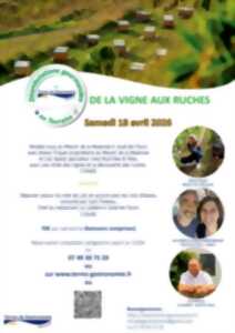 photo Déambulations gourmandes : de la vigne aux ruches