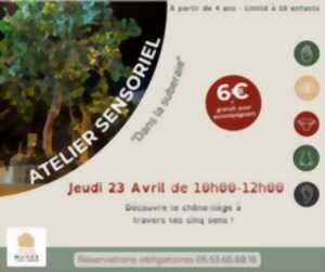 photo Atelier Sensoriel