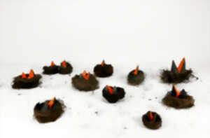 photo EXPOSITION « LES CARNIVORES ET LES OISEAUX » DE PIERRE FAURET