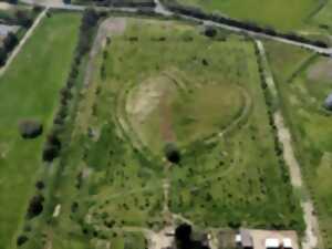 photo ATELIER ARTISTIQUE LES POKEMON© DRAGONS