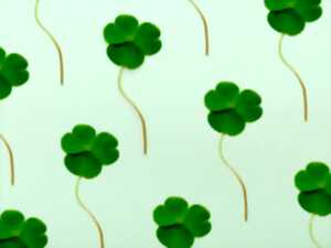 photo Session irlandaise