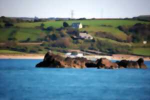 photo Hague à part : Promenade en mer au large des côtes de la Hague