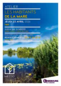 photo Les habitants de la mare