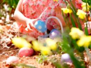 photo Chasse aux oeufs