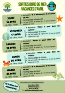 photo Pêche à pied dans les rochers